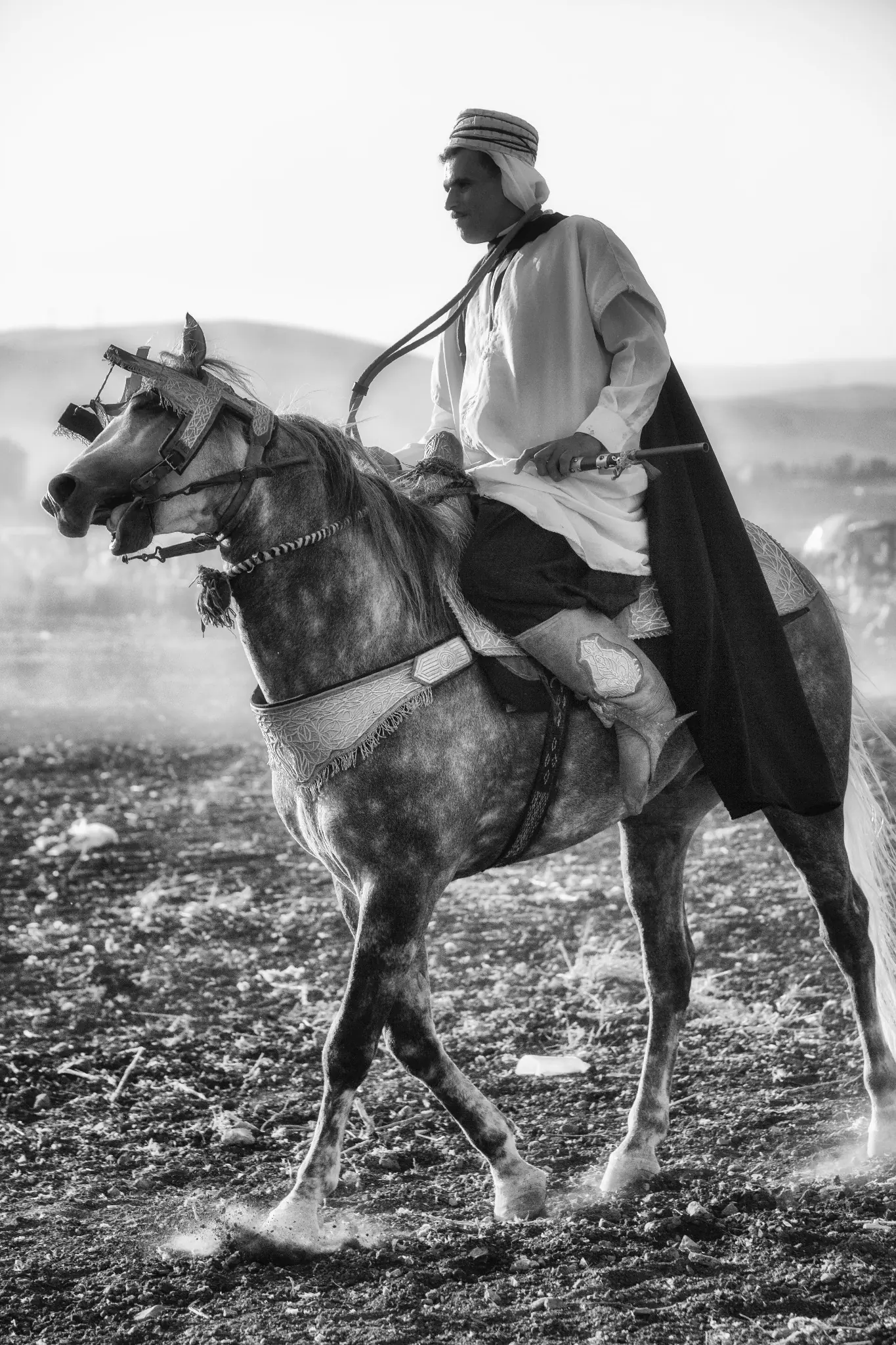 Portrait vertical d’un cavalier à cheval à Aïn El Tolba