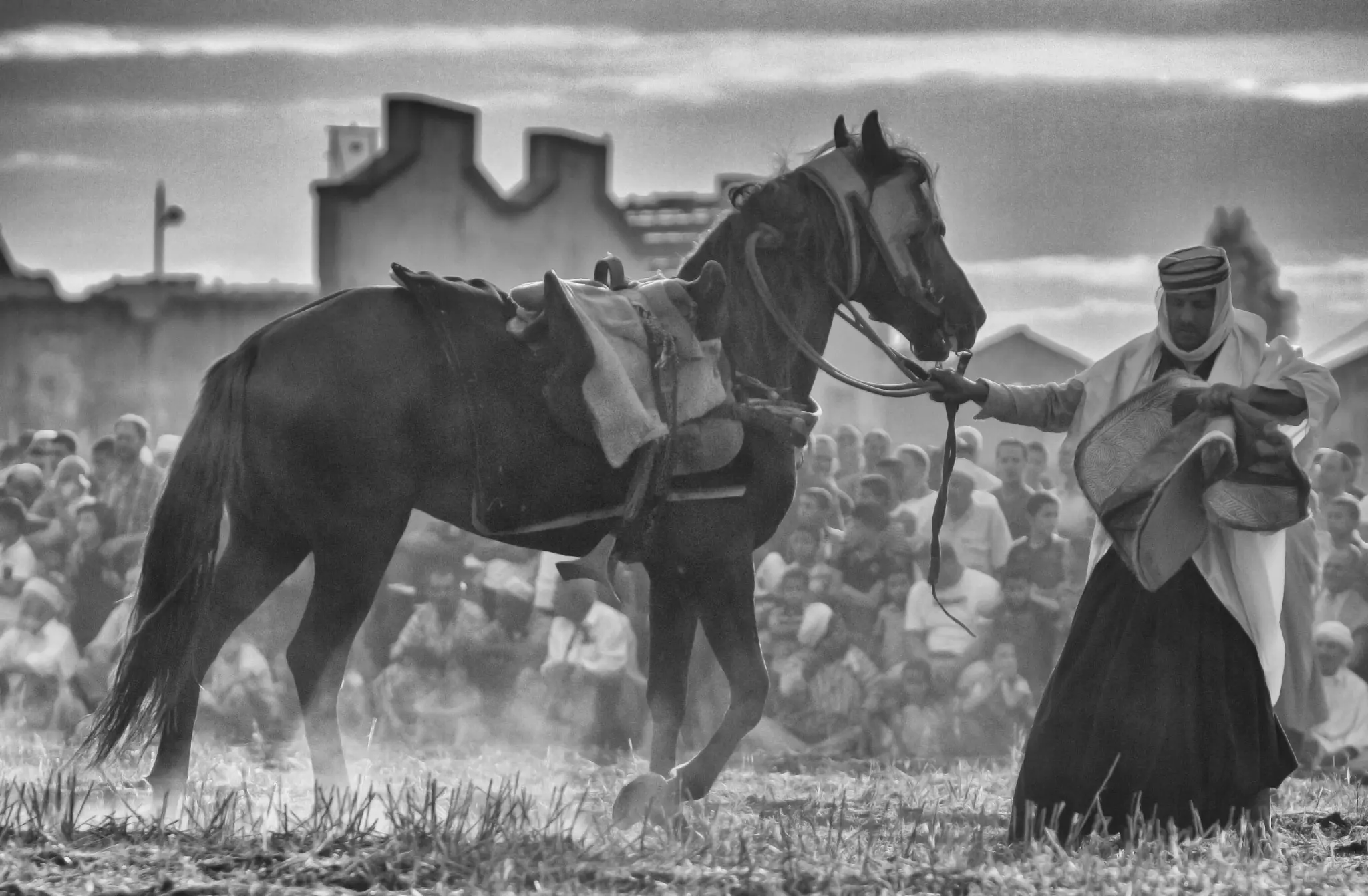 Cavalier préparant son cheval à Hammam Bou Hadjar