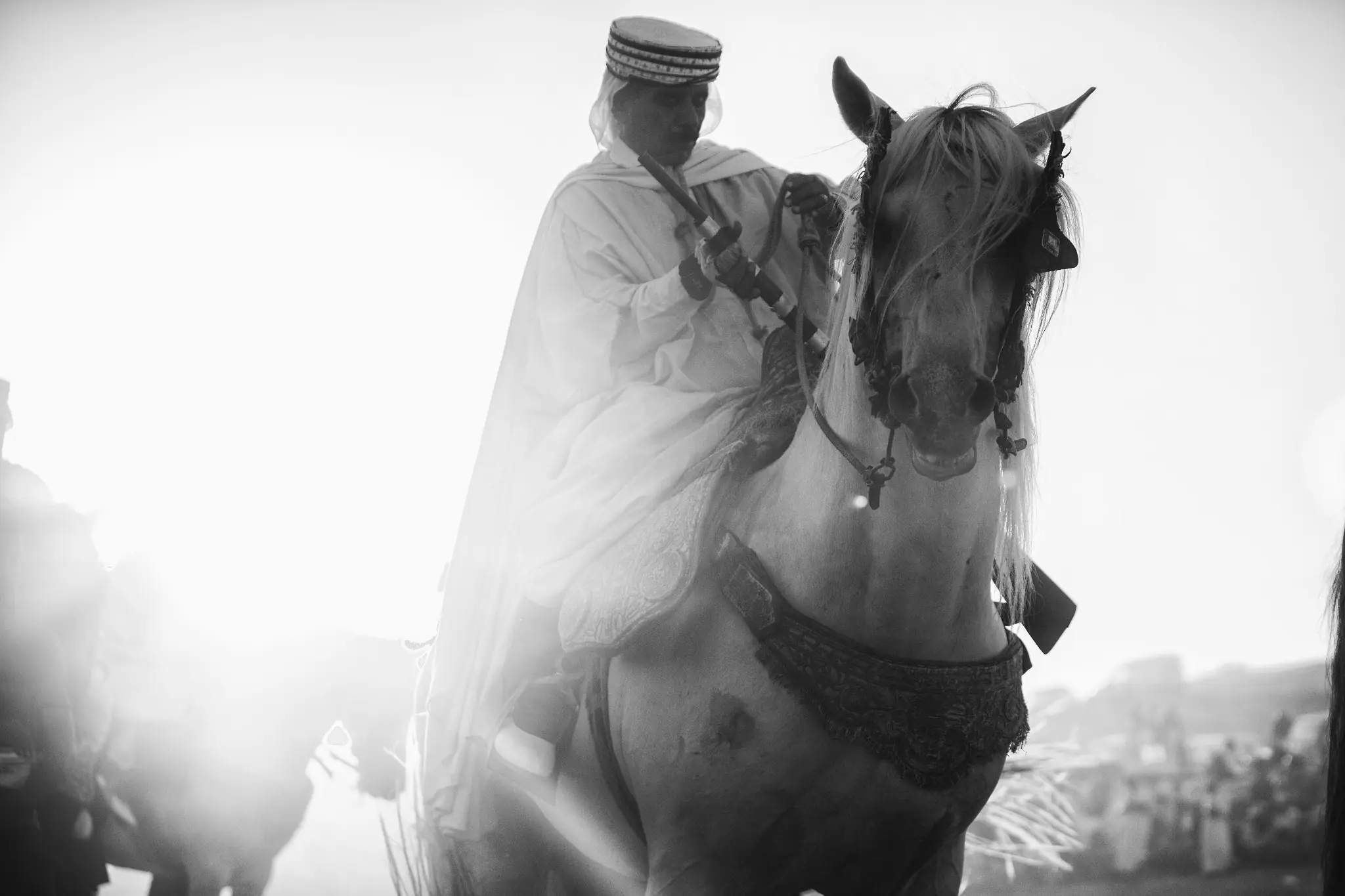 Portrait d’un cavalier et de son cheval à Sidi Ghanem