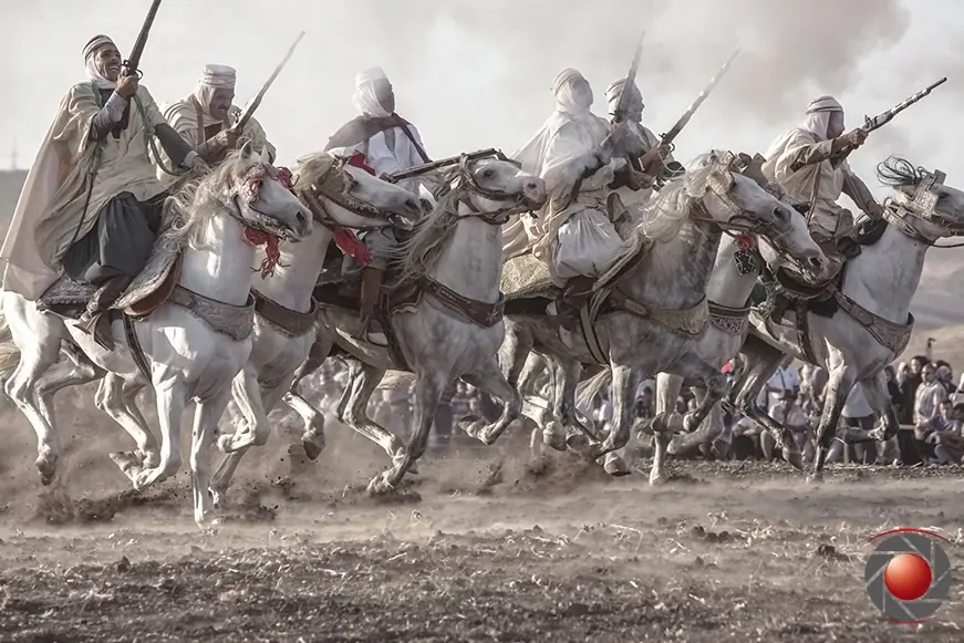 Cavaliers en pleine course à Aïn El Tolba