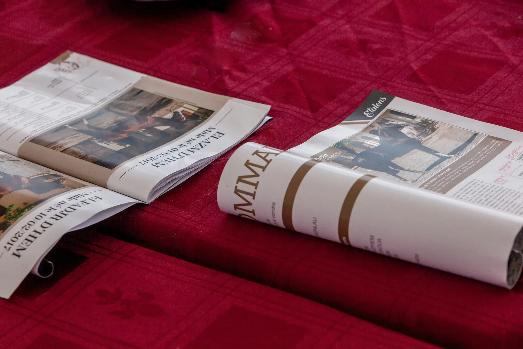 revue presse — Haras Metidji